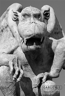 Notebook: Grayscale Gargoyle photo cover